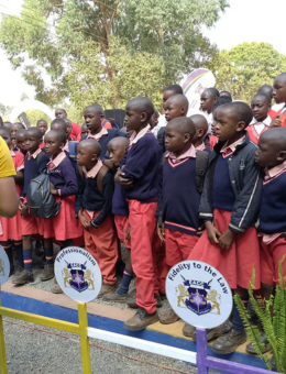 Primary School Image